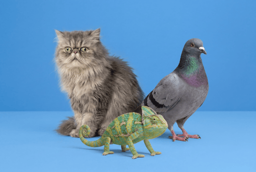 c35ec0c0715eec1cbc77c5c7cf39cf3b8b7f309c