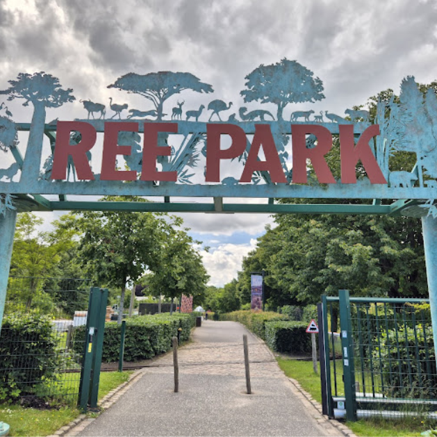 Ree Park 629x629